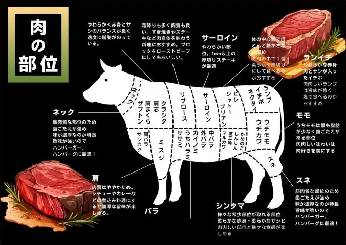 肉の部位